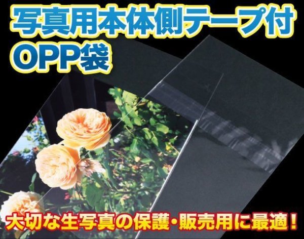 OPP袋テープ付 写真2L判 1枚用 本体側開閉自在テープ 標準#30【ワークアップ】